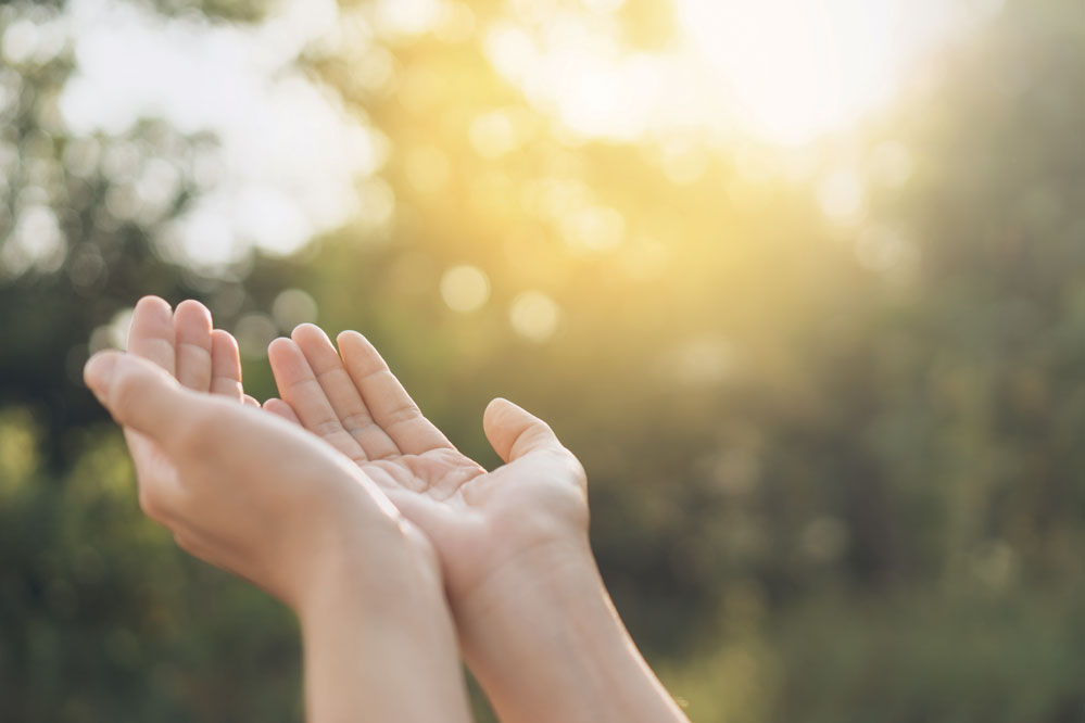 Vivre l&rsquo;écologie intégrale